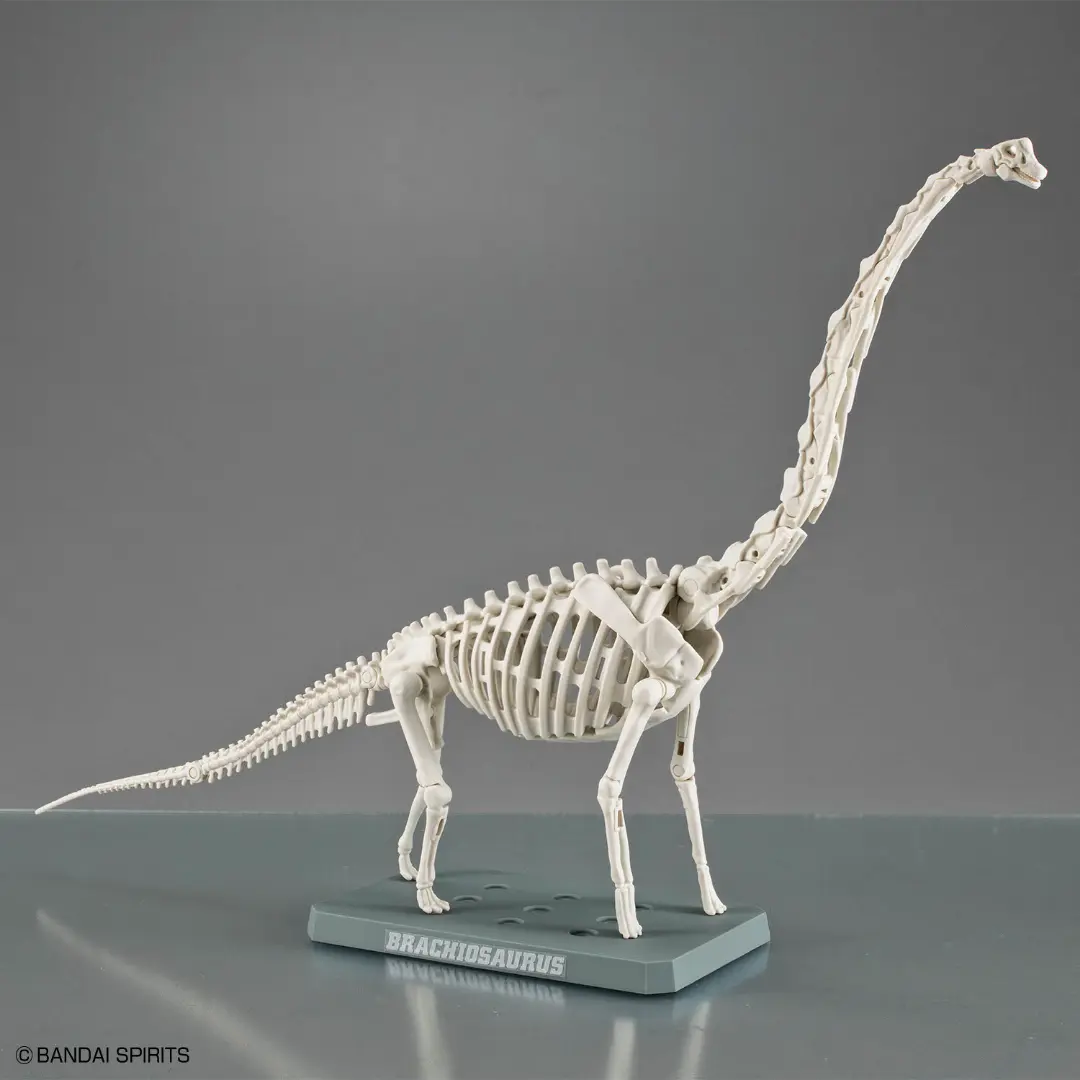 Bandai | Plannosaurus | Brachiosaurus Model Kit