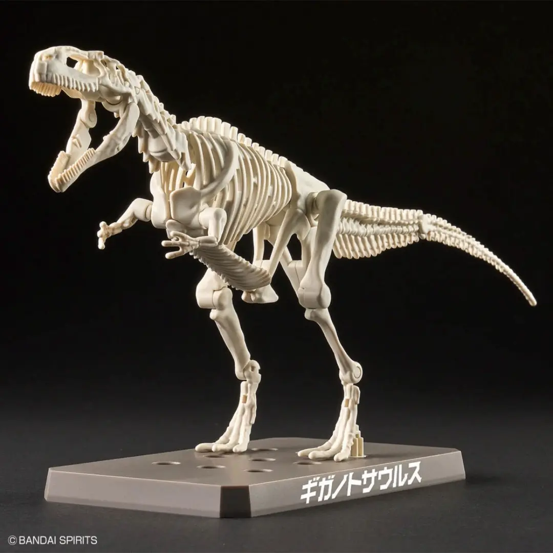Bandai | Plannosaurus | Giganotosaurus Model Kit