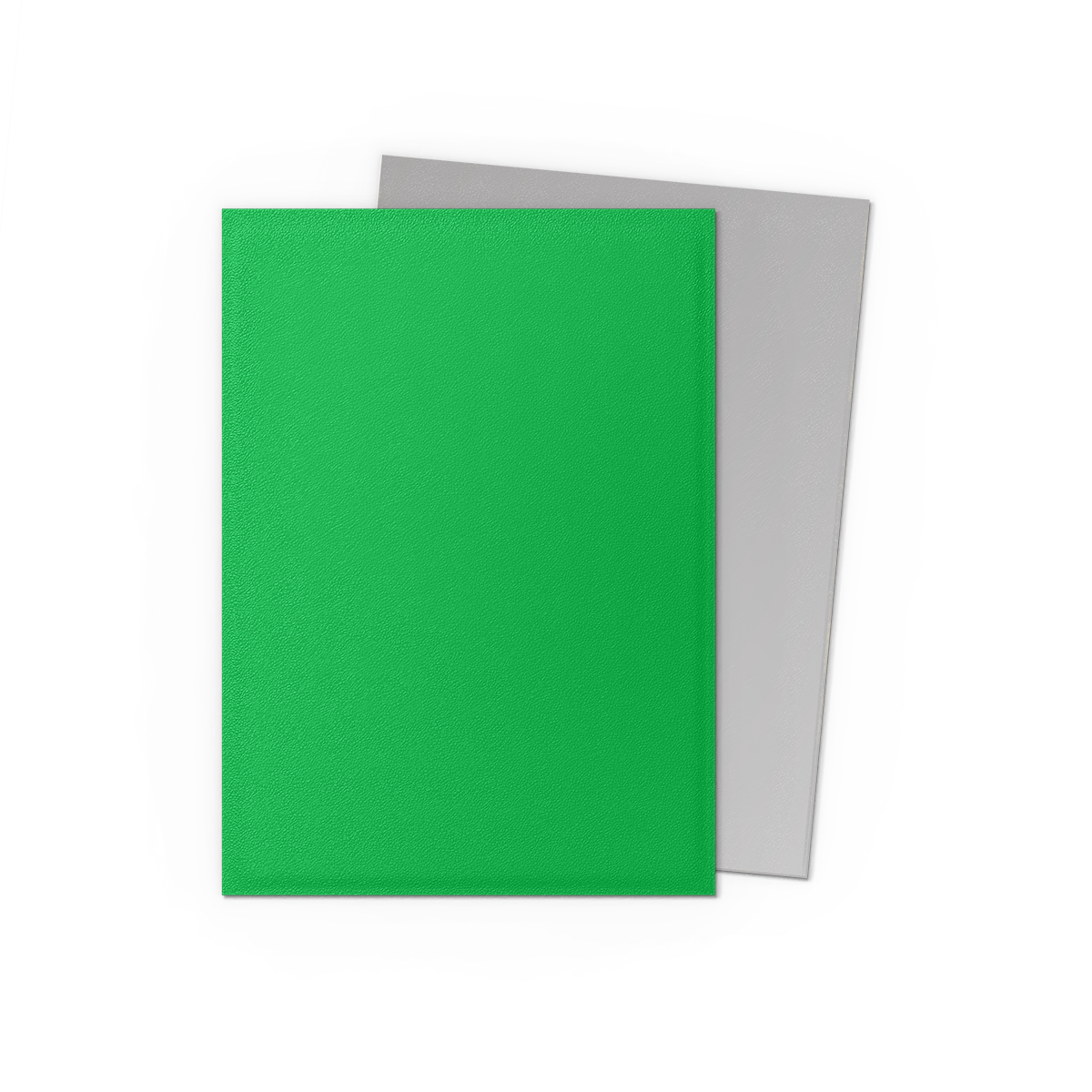 Dragon Shield: Applegreen & Silver - Matte Dual Sleeves Standard Size