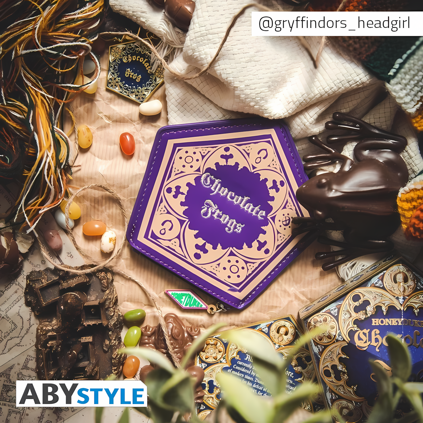 Abysse: Harry Potter - Coin Purse - Chocolate Frog
