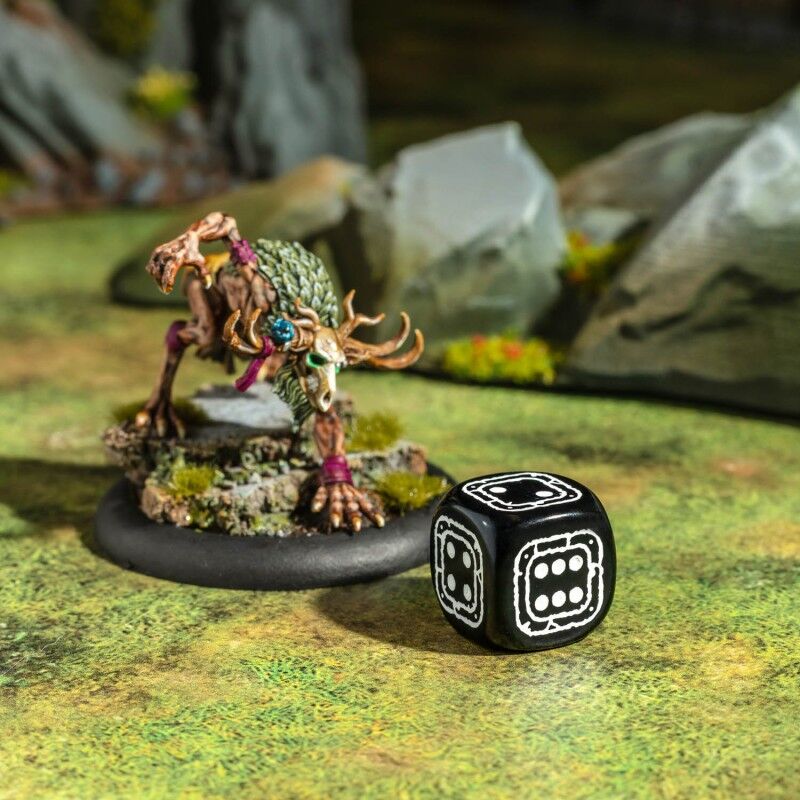 Q Workshop | Black & Beige | Fortress Compact D6