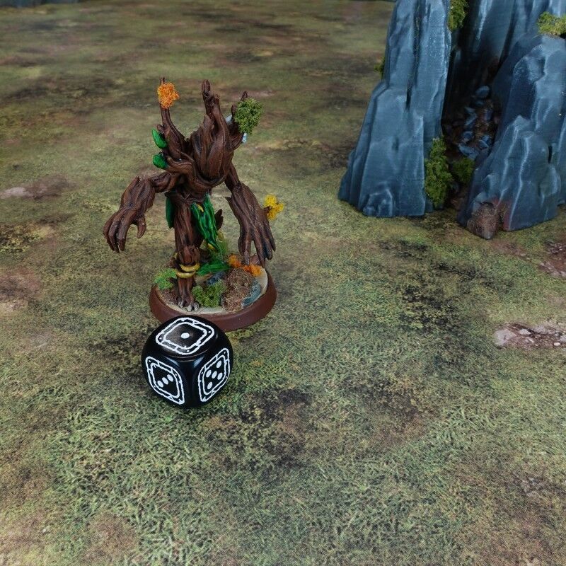 Q Workshop | Black & Red | Fortress Compact D6