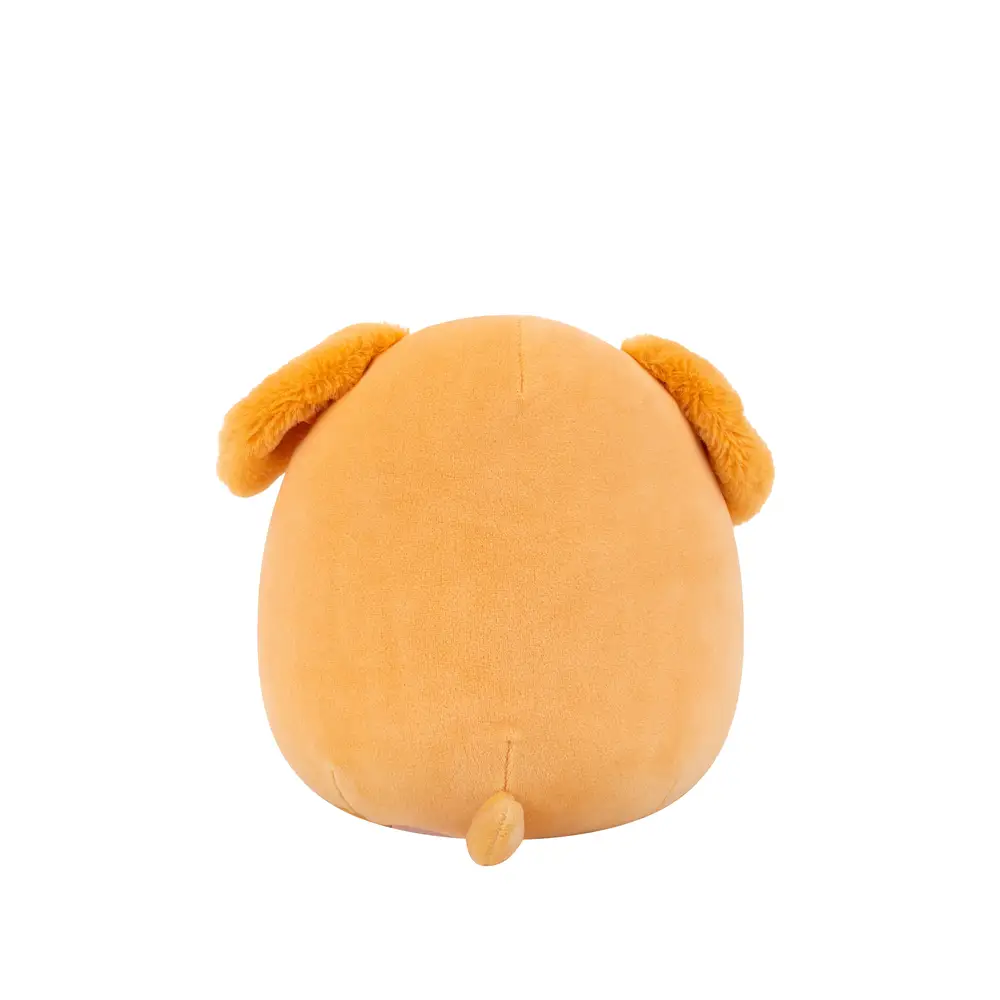 Squishmallows | Little Plush | Master Assortment (19cm)  (12pc)