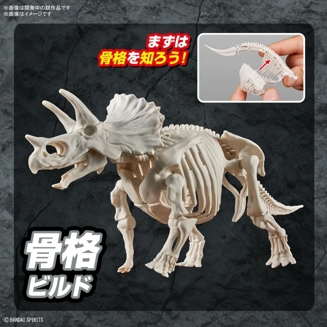 Bandai | Plannosaurus | Triceratops Model Kit