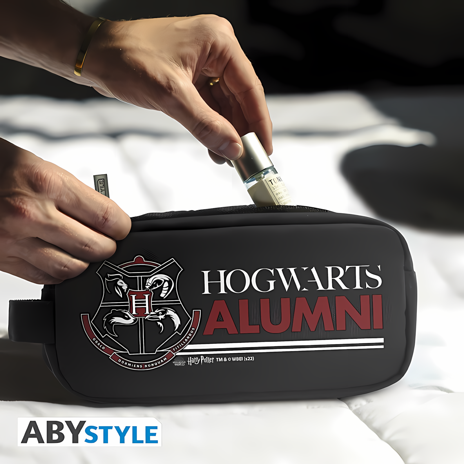 Abysse: Harry Potter - Case - Hogwarts
