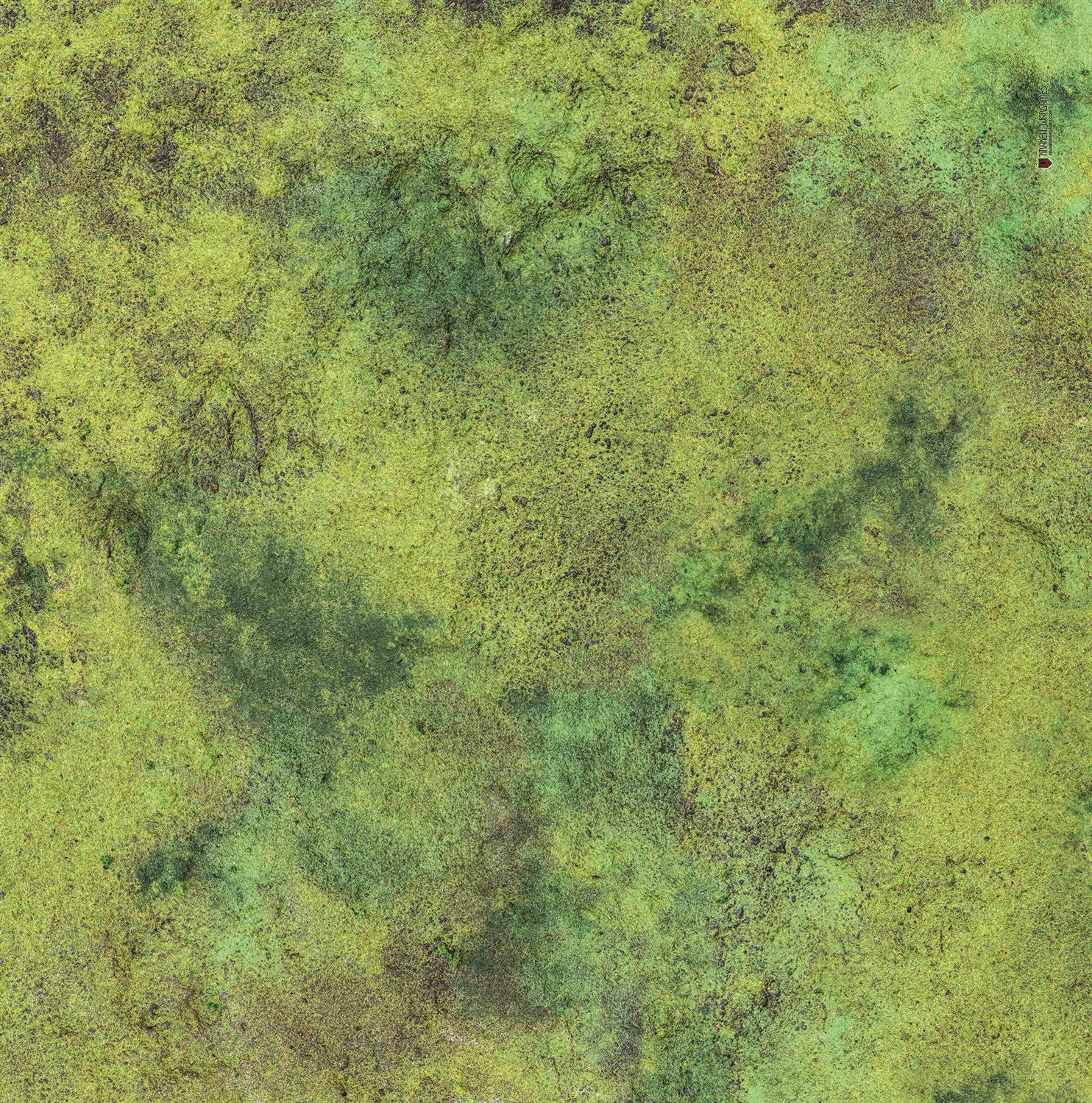 Kraken Wargames | Grass Plain | Tabletop Playmat (91x91cm)
