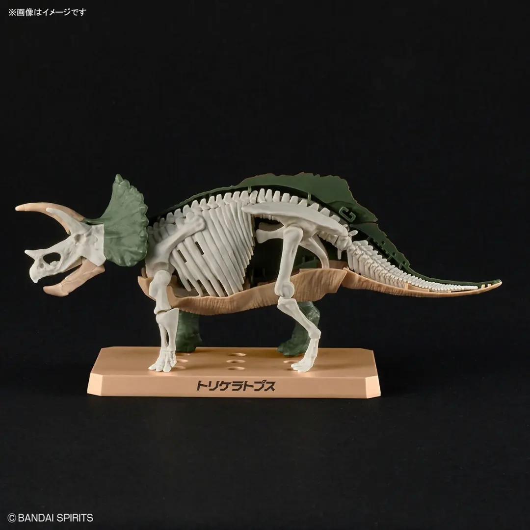Bandai | Plannosaurus | Triceratops Model Kit