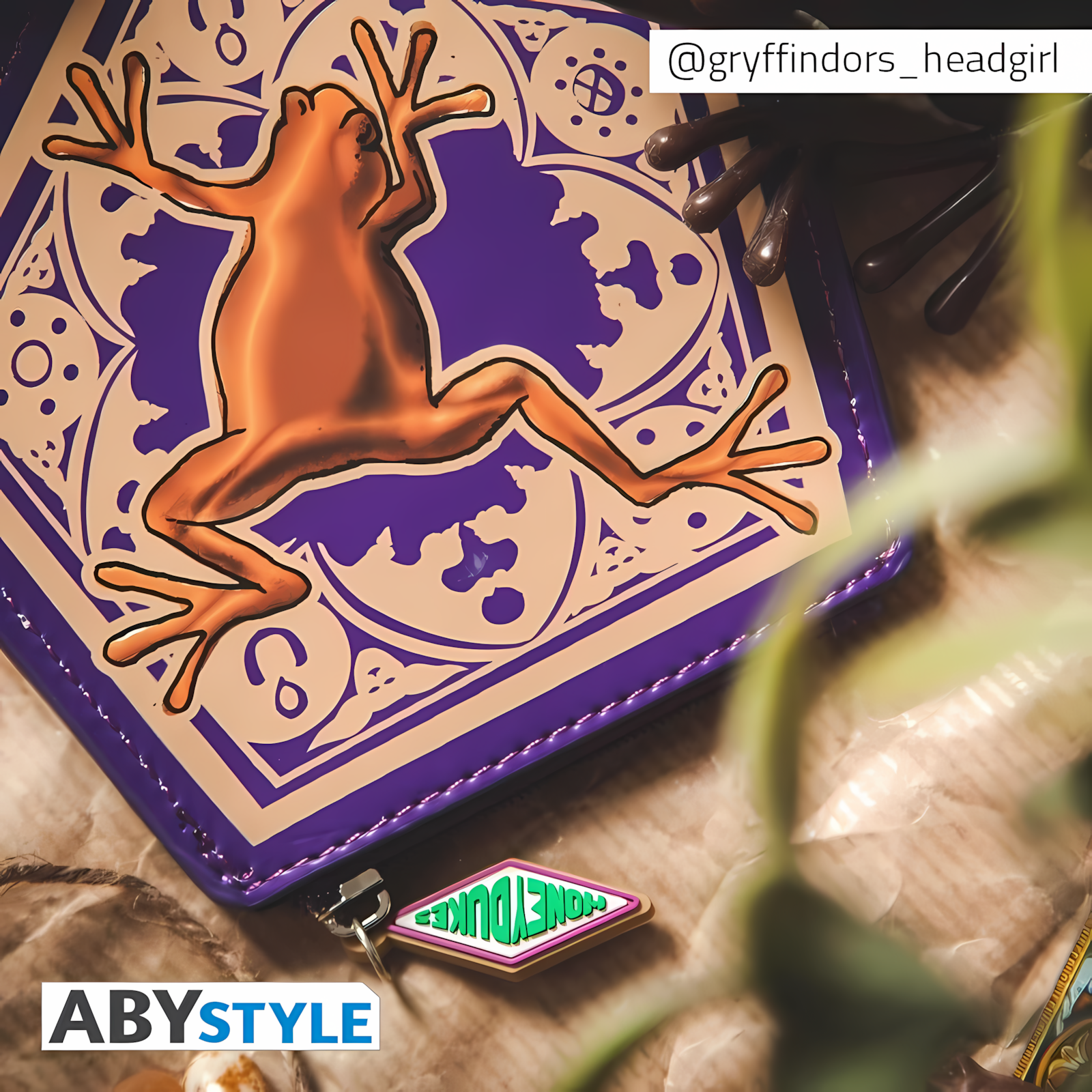 Abysse: Harry Potter - Coin Purse - Chocolate Frog