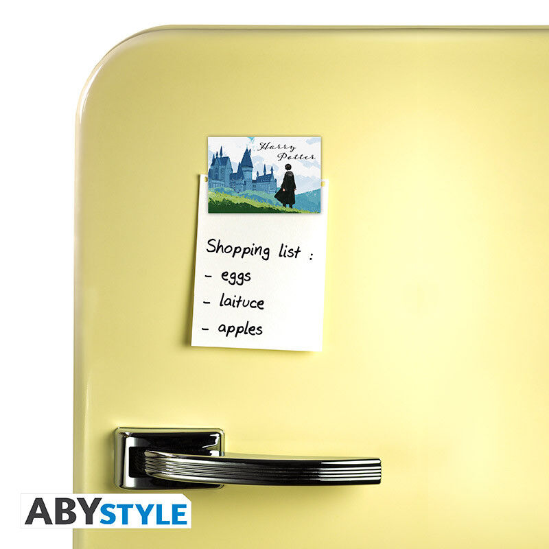 Abysse: Harry Potter - Standard Magnet - Harry & Hogwarts