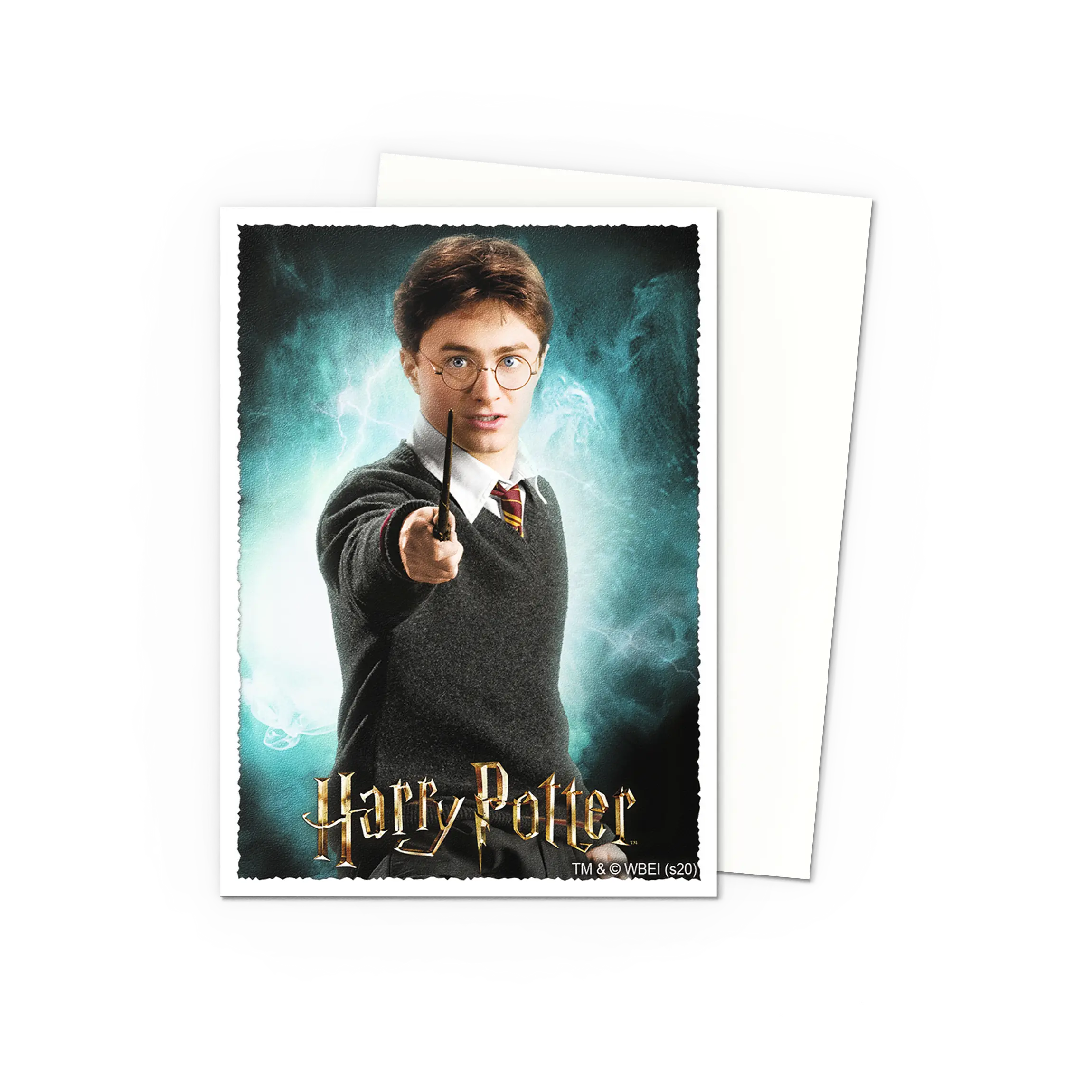 Dragon Shield: WizardingWorld - Harry Potter - Matte Art Sleeves - Standard Size