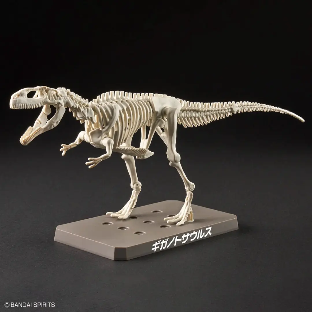 Bandai | Plannosaurus | Giganotosaurus Model Kit