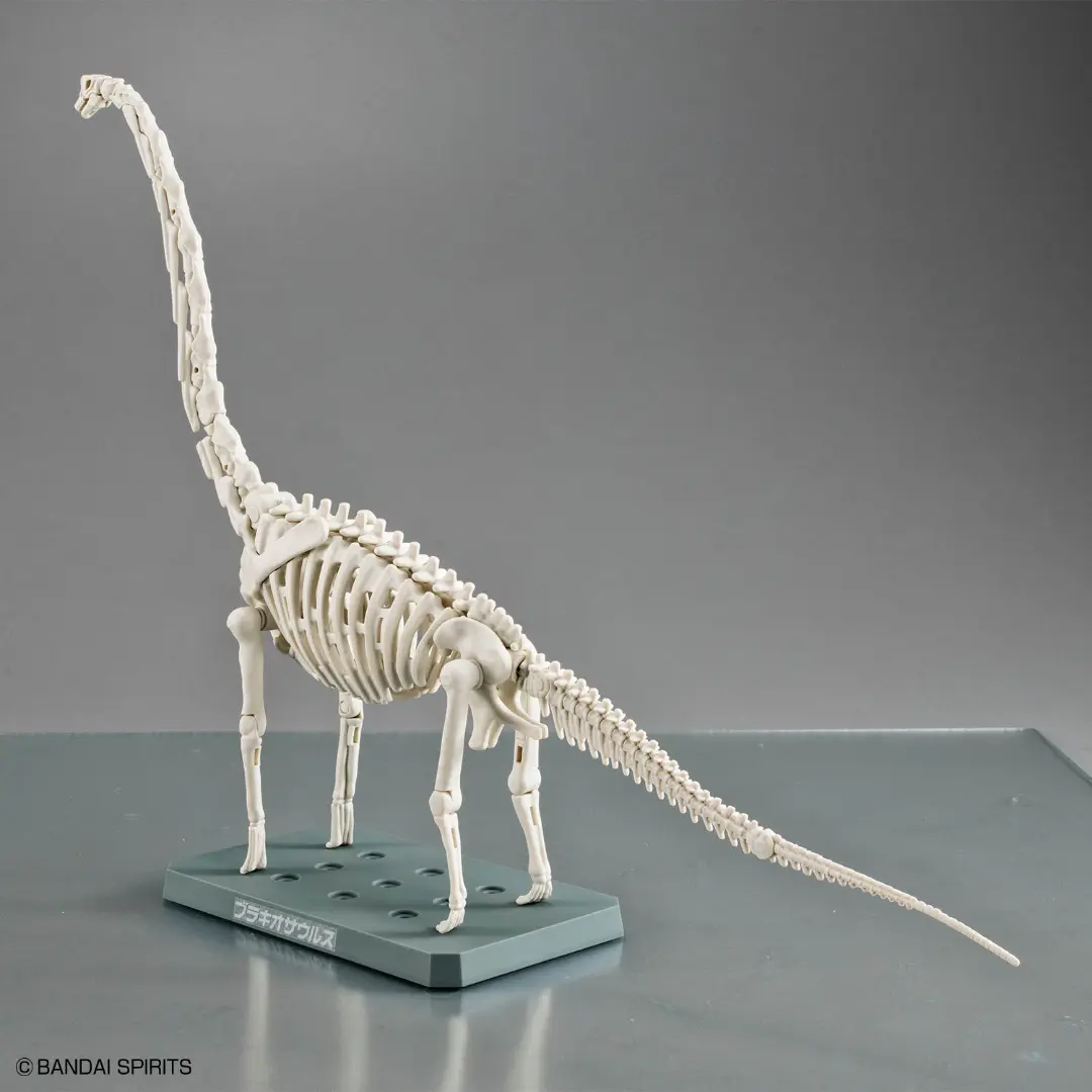 Bandai | Plannosaurus | Brachiosaurus Model Kit