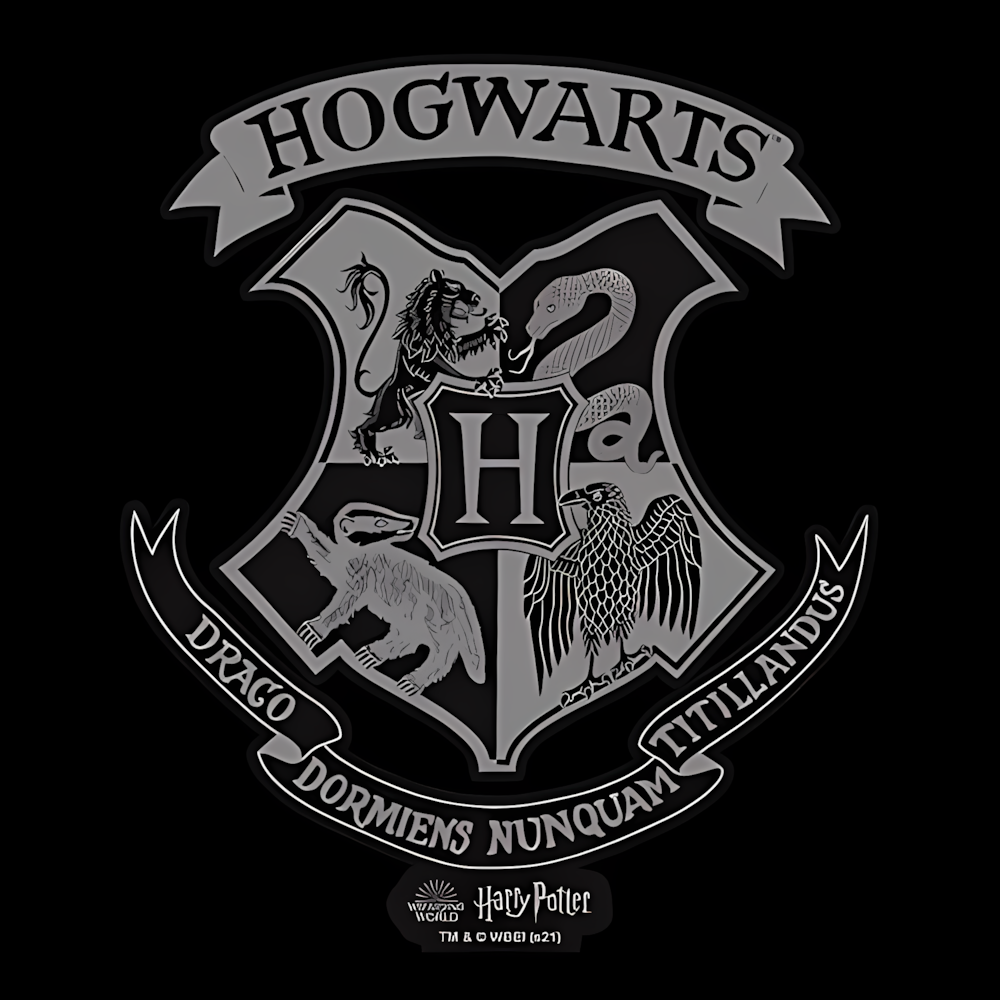Abysse: Harry Potter - Messenger Bag Vinyl (Small) - Hogwarts