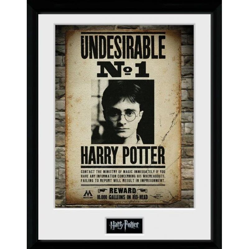 Abysse | Harry Potter | Undesirable No 1 Framed Print (30 x 40cm)
