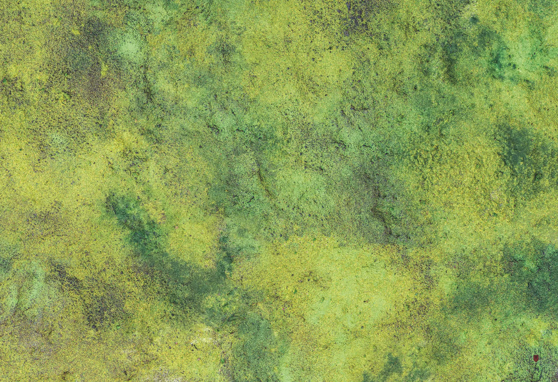 Kraken Wargames | Grass Plain | Tabletop Playmat (111x76cm)