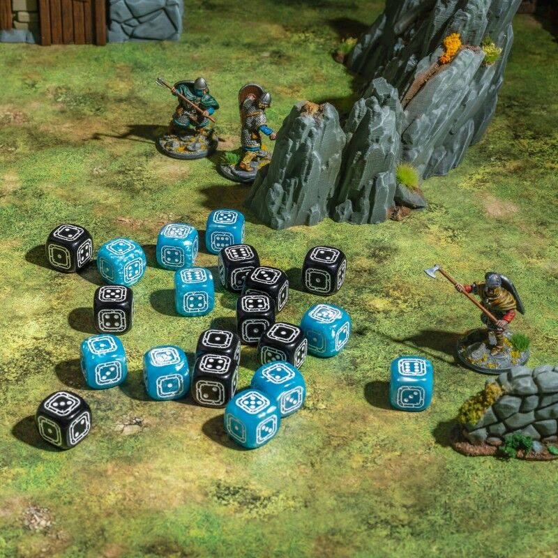 Q Workshop | Black & Blue | Fortress Compact D6