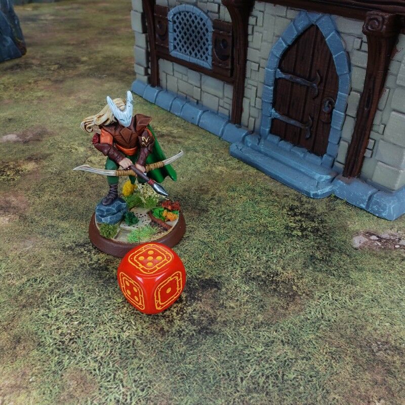 Q Workshop | Black & Red | Fortress Compact D6