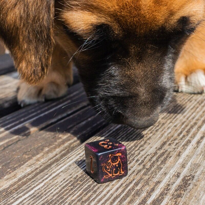 Q Workshop | Luna | DOGS Dice Set