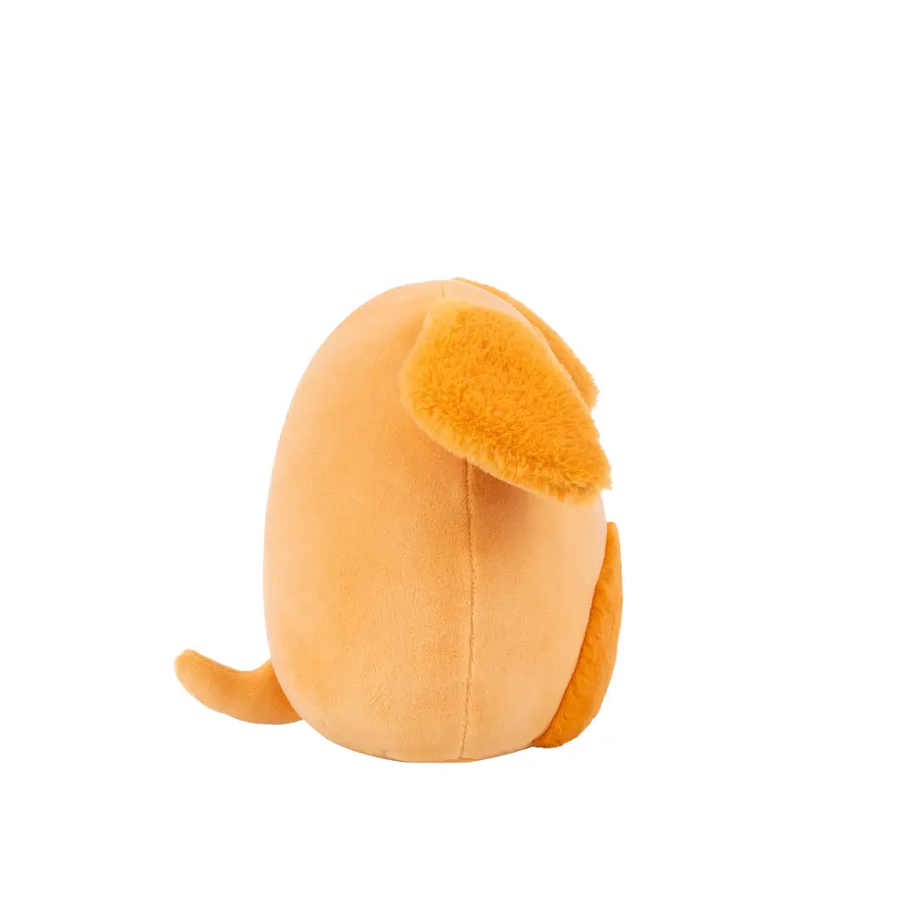 Squishmallows | Little Plush | Master Assortment (19cm)  (12pc)