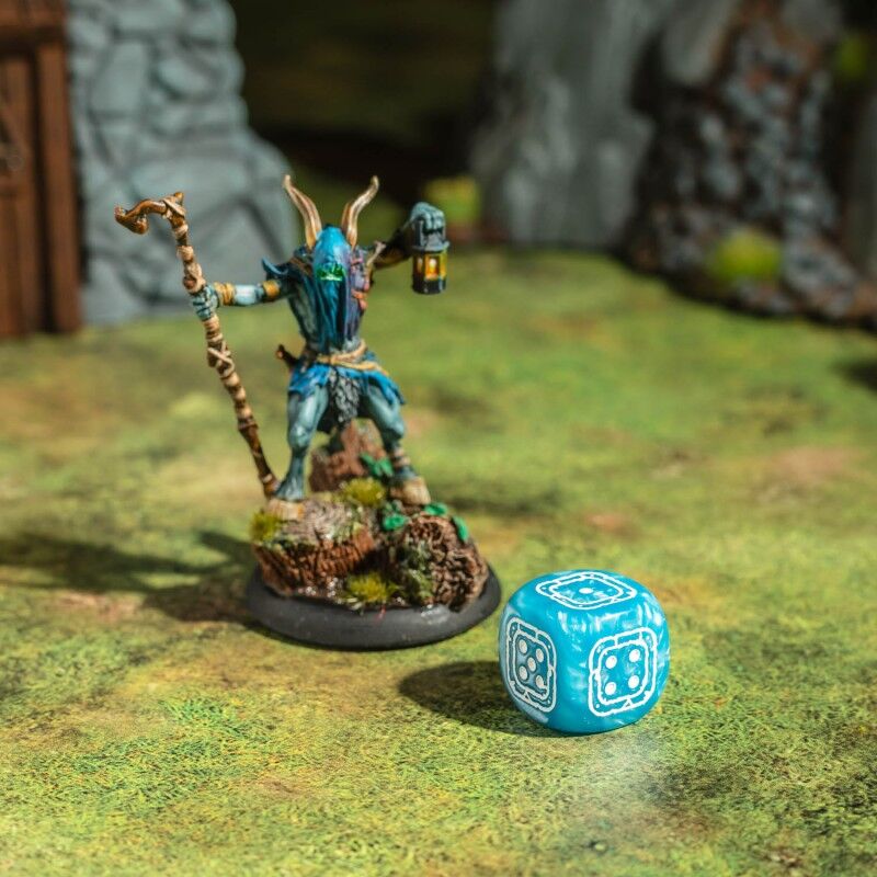 Q Workshop | Black & Blue | Fortress Compact D6