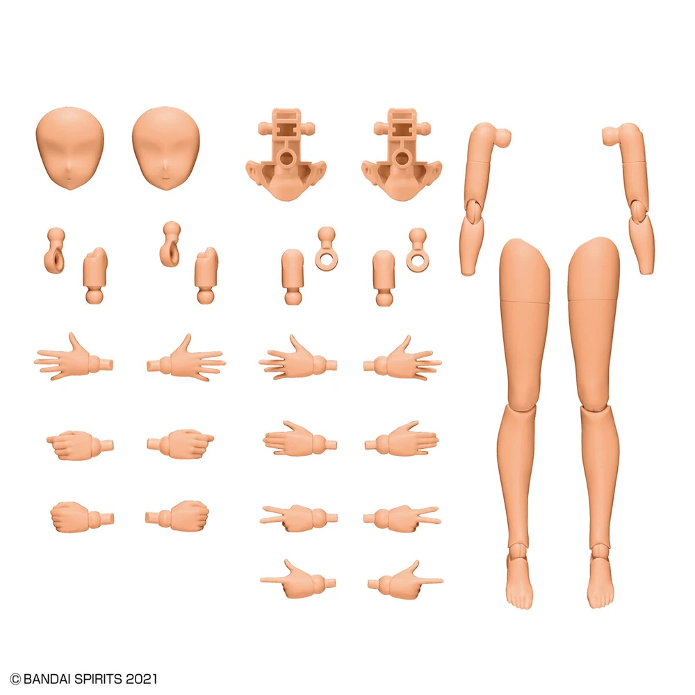 Bandai: 30MS Option Body Parts - Arm Parts & Leg Parts [Color C]