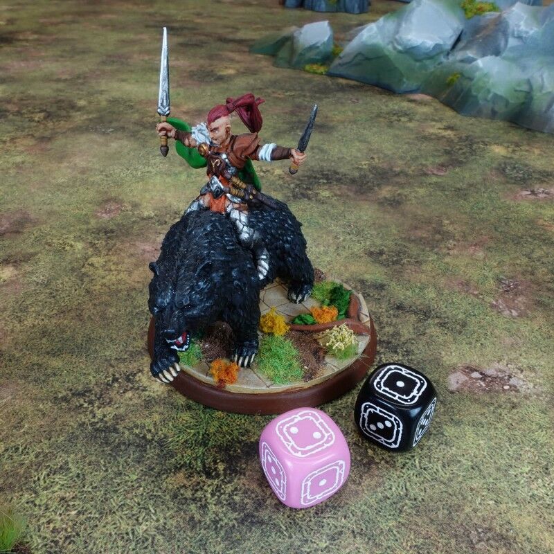 Q Workshop | Black & Pink | Fortress Compact D6