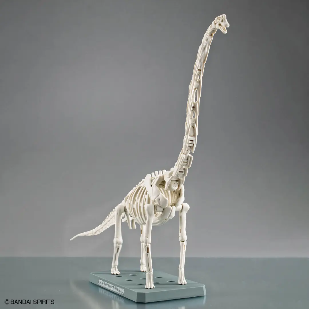 Bandai | Plannosaurus | Brachiosaurus Model Kit