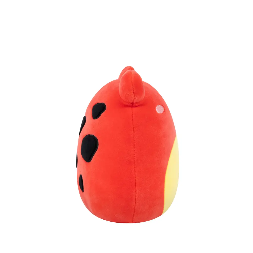 Squishmallows | Little Plush | Master Assortment (19cm)  (12pc)