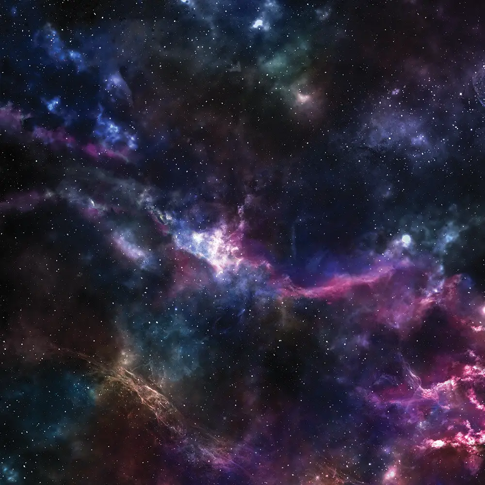 Kraken Wargames | Space 6 | Würfelschale