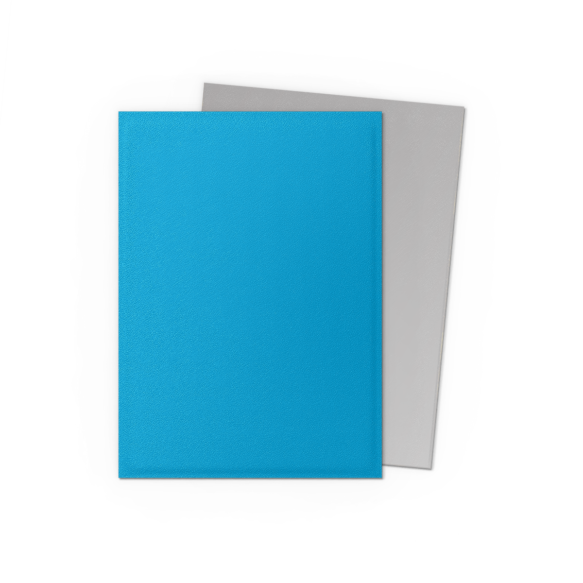 Dragon Shield: Sky Blue & Silver - Matte Dual Sleeves Standard Size