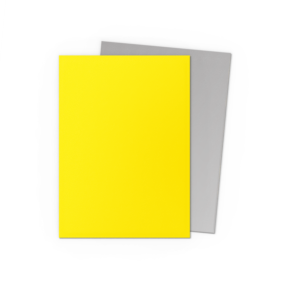 Dragon Shield: Yellow & Silver - Matte Dual Sleeves Standard Size