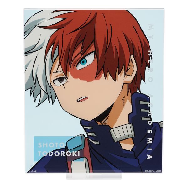 Kategorie H